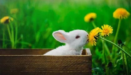 朱芳雨：越来越多中国球员冲击海外联赛，值得我们鼓掌点赞